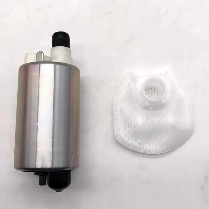 Excavator fuel pump